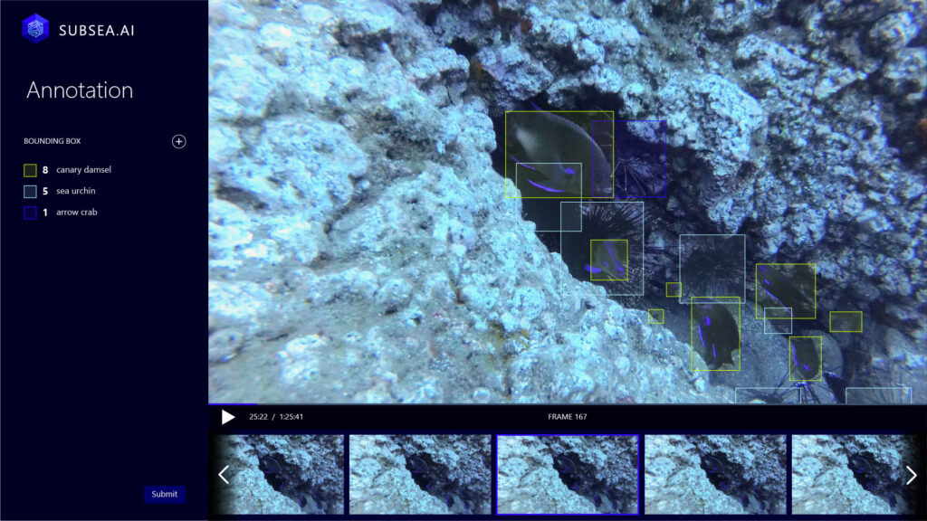 An example of a tool to annotate videos for a fish detection task
