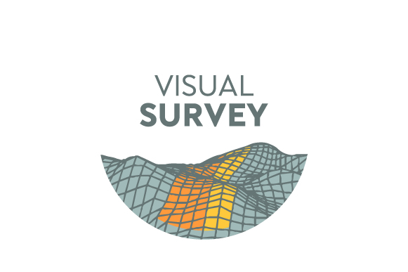 Visual Survey